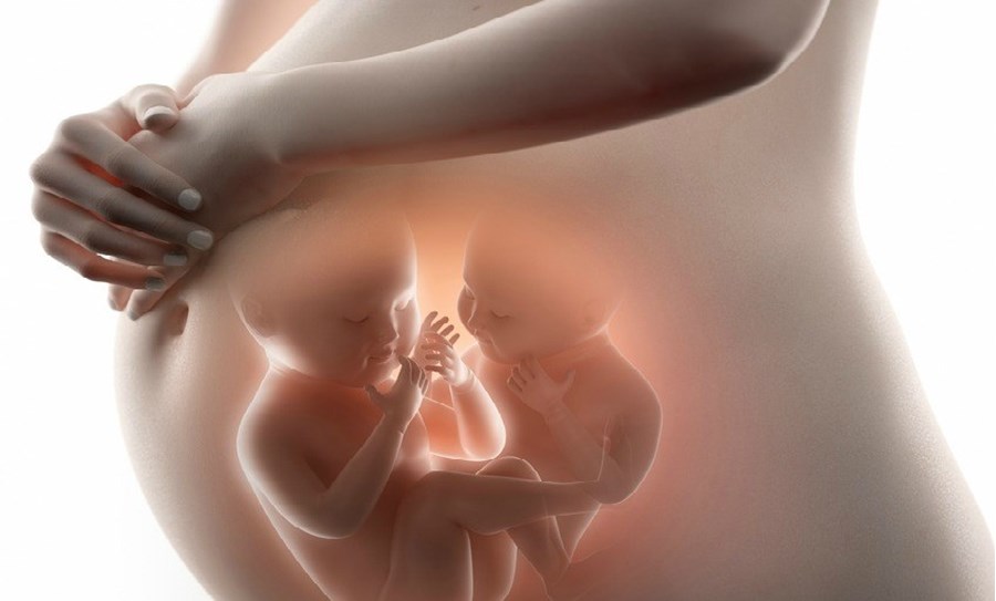 Le suivi de grossesse gémellaire