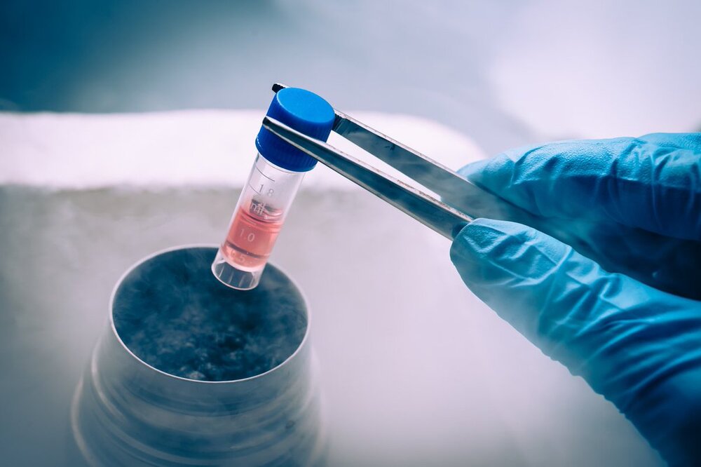 Préservation de la fertilité